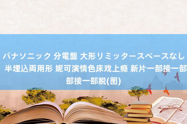 パナソニック 分電盤 大形リミッタースペースなし 露出・半埋込両用形 妮可演情色床戏上瘾 新片一部接一部脱(图)